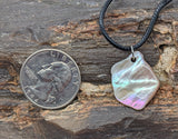 Abalone shell necklace