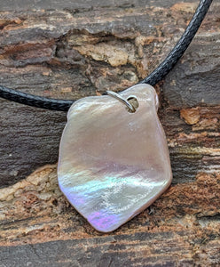 Abalone shell necklace