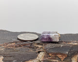 Fluorite Cabochon