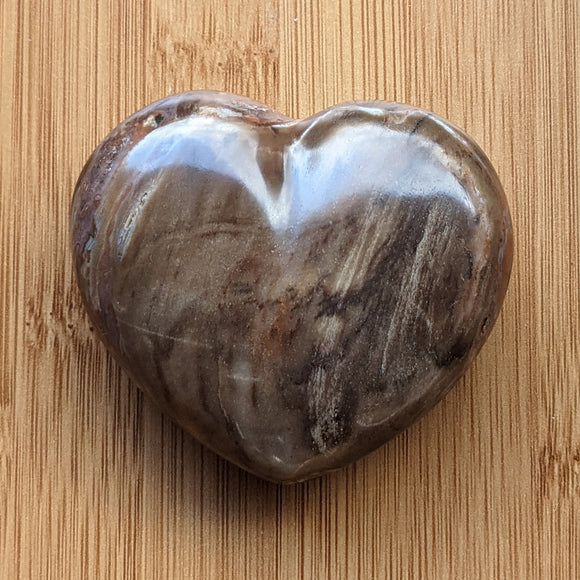 Petrified Wood Heart - MJ Rocks and Gems
